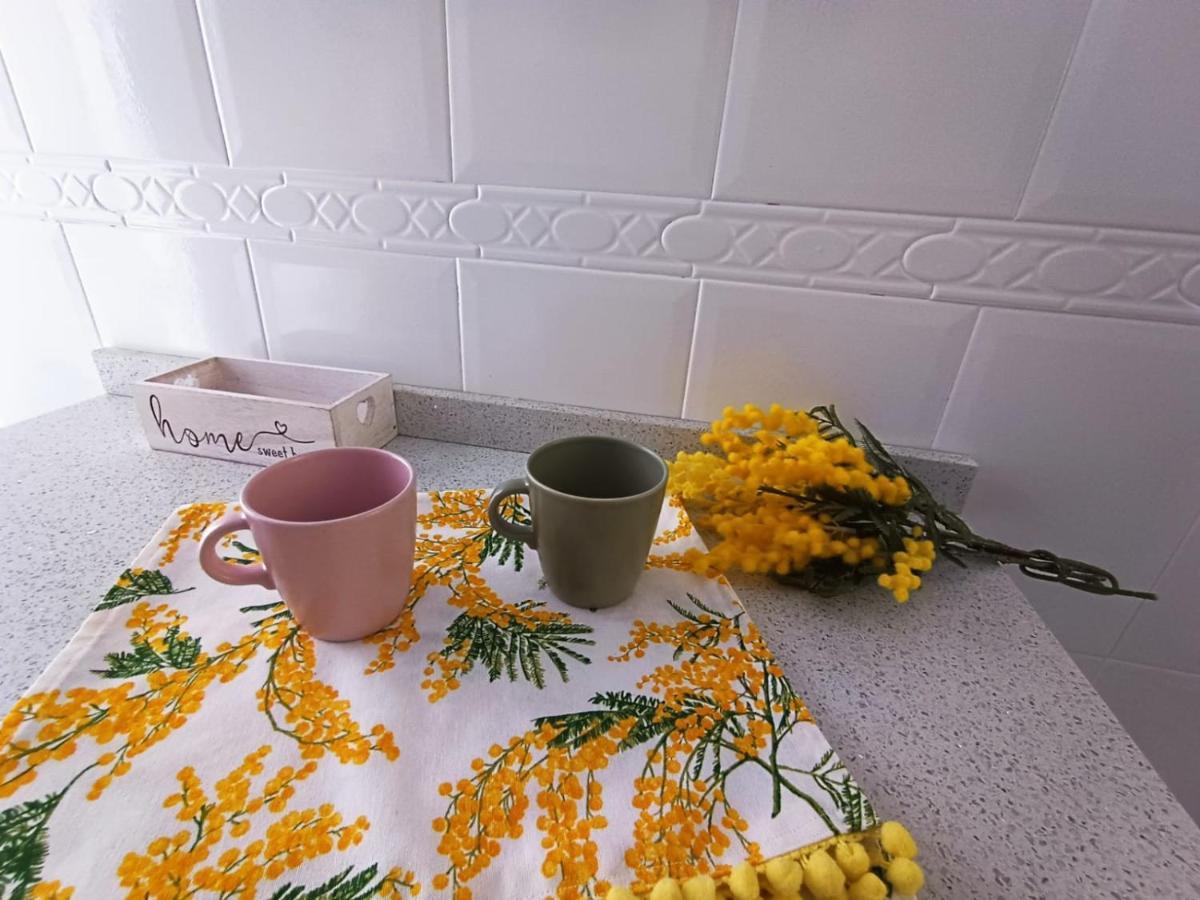 Mimosa Home 塔拉韦拉·德·拉·雷纳 外观 照片